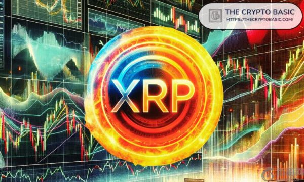专家称，当 XRP 从 12 美元跌至 6 美元时，聪明的投资者不会退缩