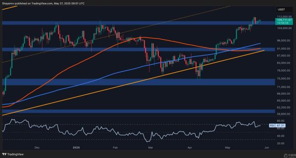 比特币价格分析：BTC 下一步要挑战 12 万美元吗？