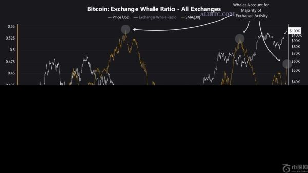 比特币鲸鱼活动向市场发出警告