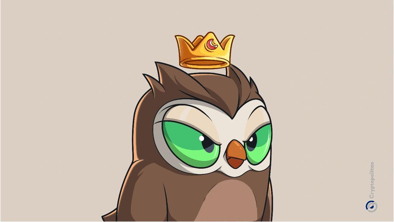 Yuga Labs 将 Moonbirds 出售给 Orange Cap Games