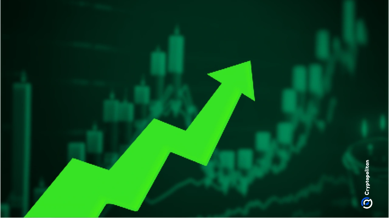 英伟达股价暴跌后，美国股市继续走高，但贸易混乱依然存在