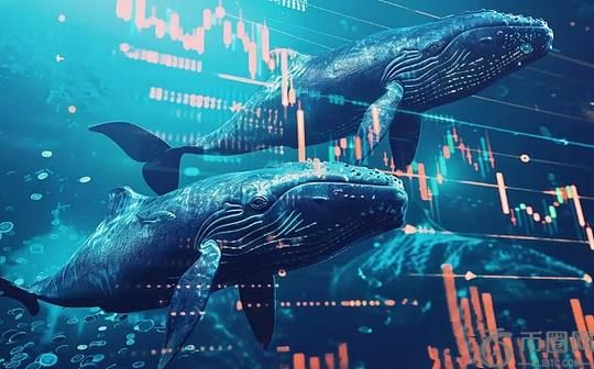 链上巨鲸都在偷偷买什么？Bitget公开上币机制