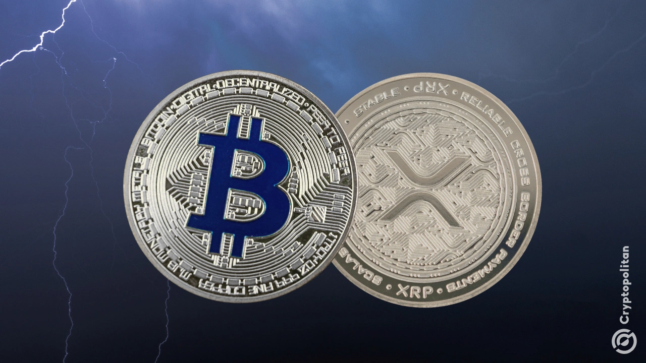 Ripple 联合创始人 Chris Larsen 证实，Ripple 没有资助比特币“更改代码”活动