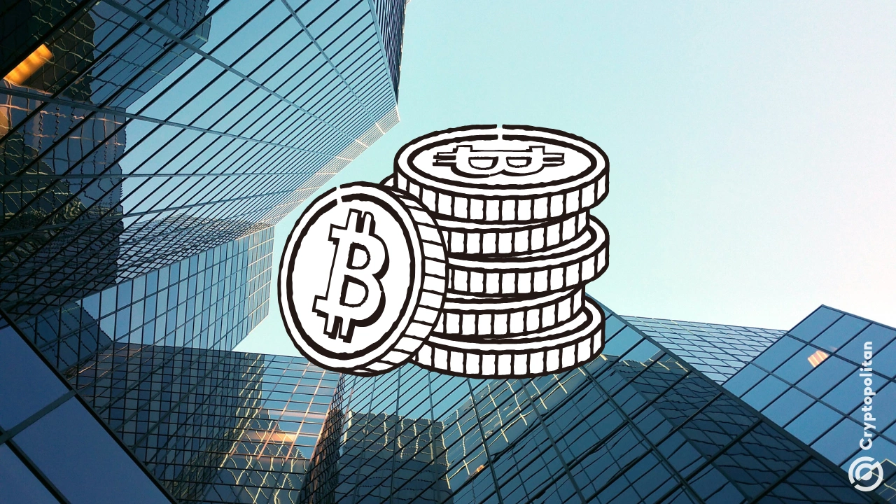 上市公司在第一季度囤积了超过 9.5 万枚比特币，并正在筹集数十亿美元购买更多比特币