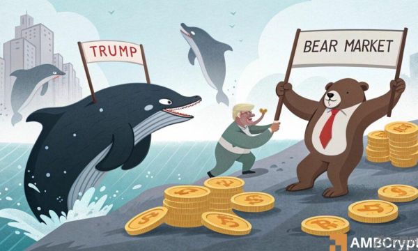 特朗普在 11 美元处面临重大阻力——鲸鱼购买足以击败熊市吗？