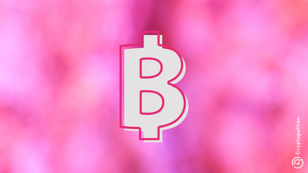 巴西公司 Méliuz 启动股票发行以购买更多比特币