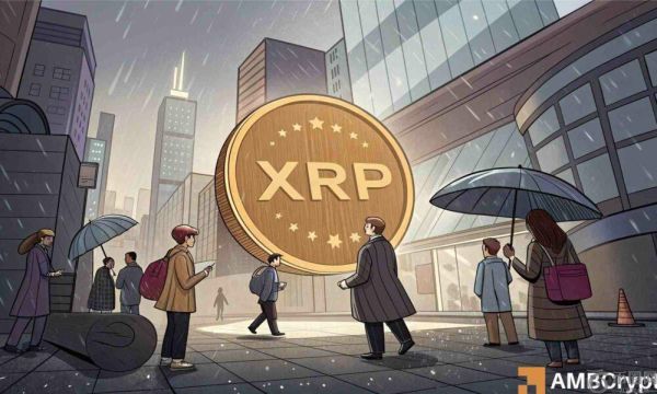 5300 万 XRP 鲸鱼转移震动市场——多头能否守住 2 美元的壁垒？