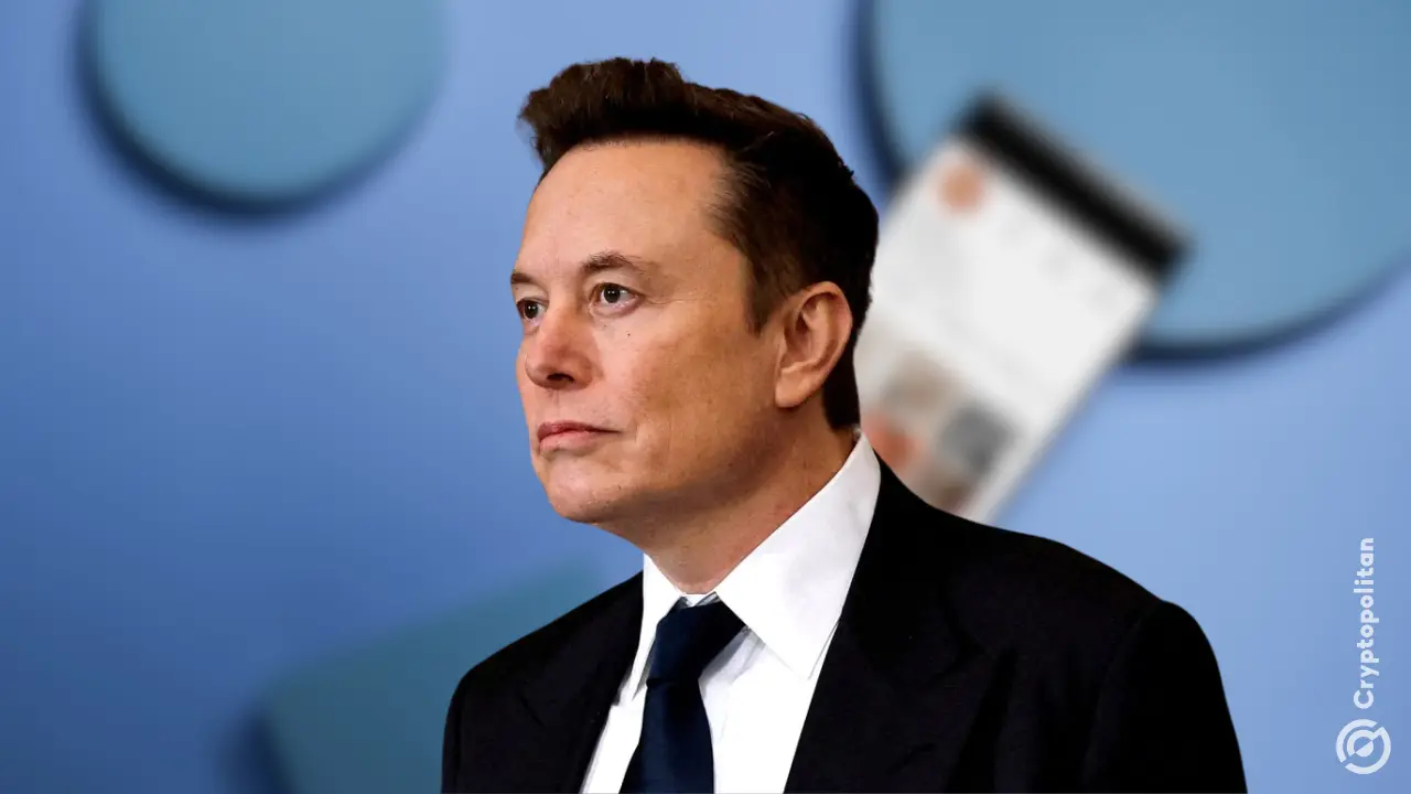 特朗普与马斯克分手后，特斯拉股价下跌，散户投资者纷纷买入