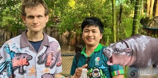 拉动以太坊上的Meme币MOODENG暴涨近200%！V神泰国动物园看弹跳猪