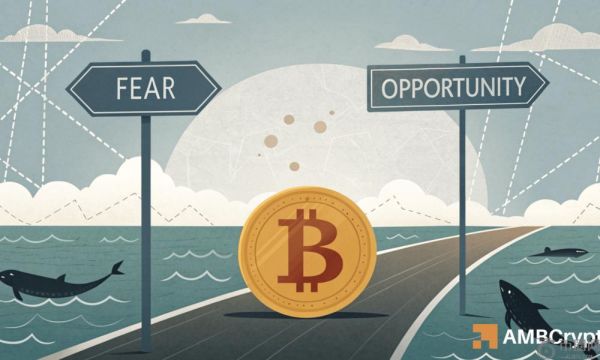 比特币交易者，忘记减半吧；相反，关注 BTC 的下一步走势！