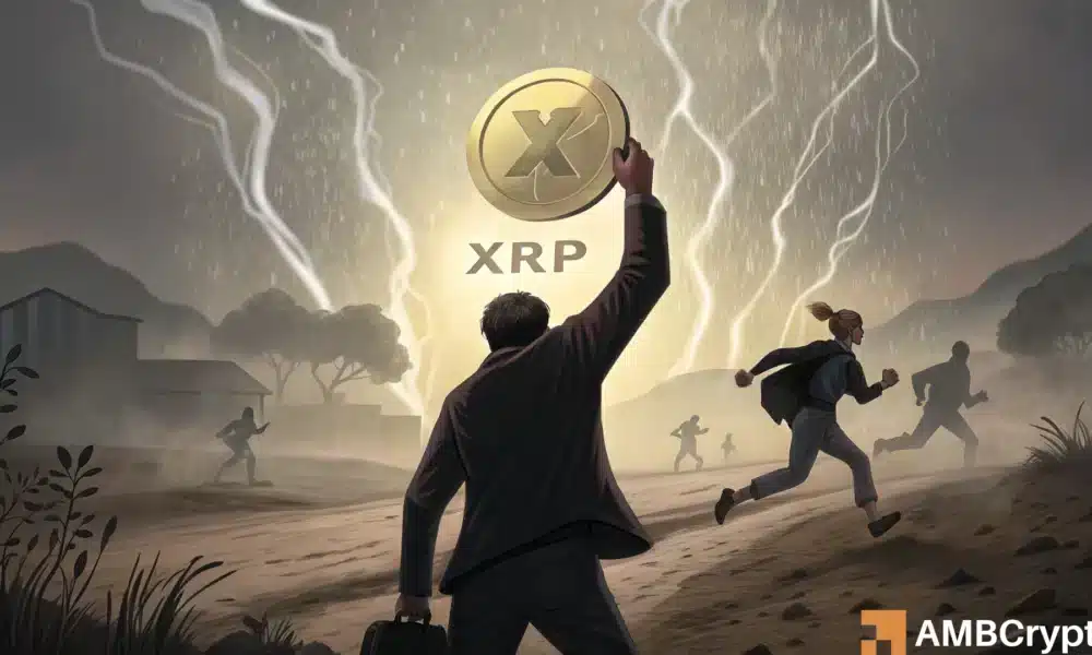 瑞波币 [XRP]：这就是为什么你的耐心以后会得到巨大回报！