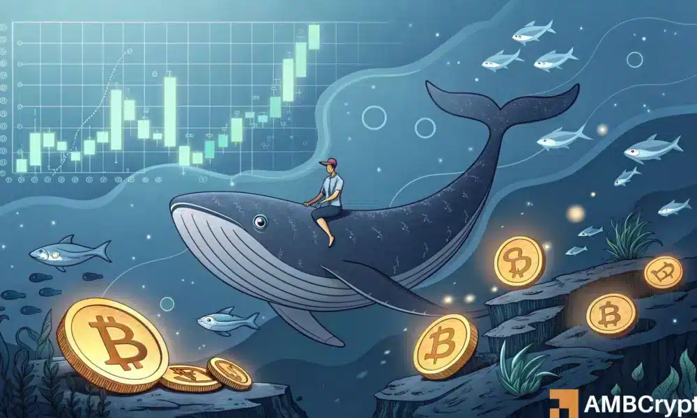 比特币：2600 万美元的鲸鱼举动能否帮助 BTC 突破 10.7 万美元？