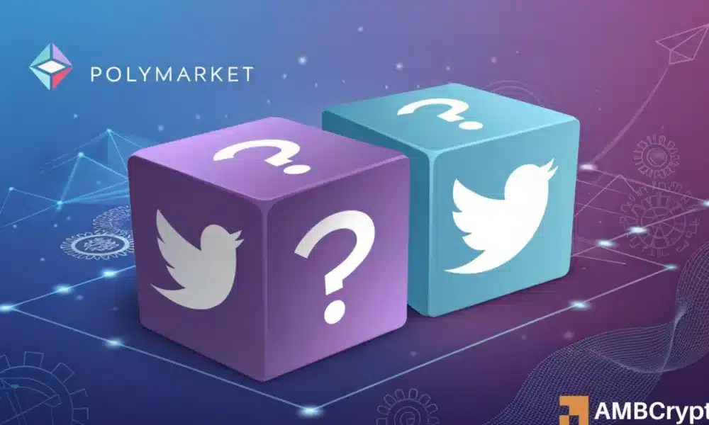 Polymarket 与 Elon Musk 的 X – Userbase 的新合作关系已经开始了吗？