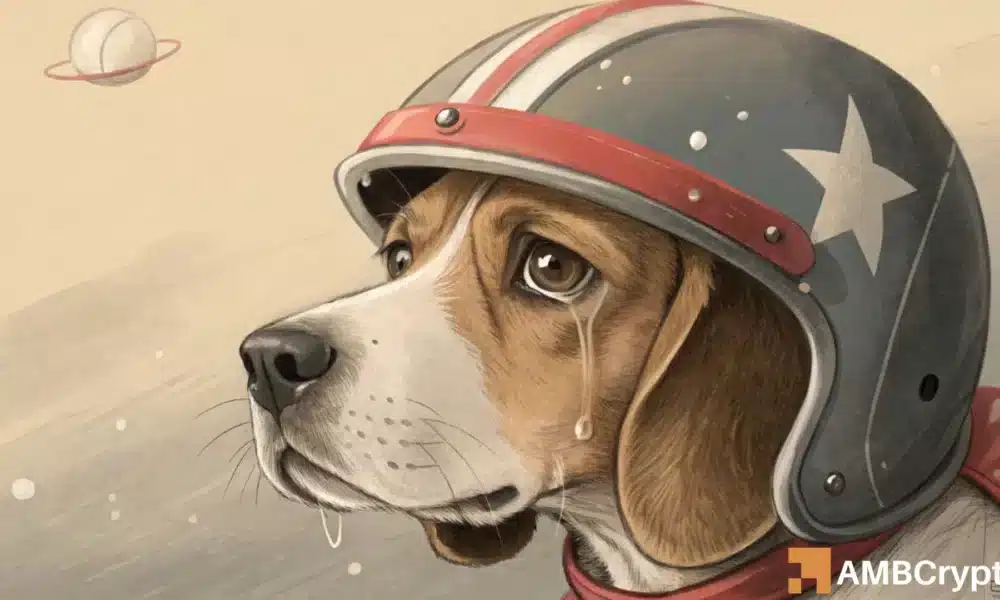 FLOKI 本月暴跌 32%：出现 3 个令人担忧的指标