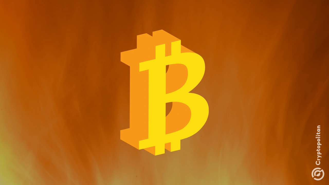 鲸鱼反对散户对比特币的看跌预测