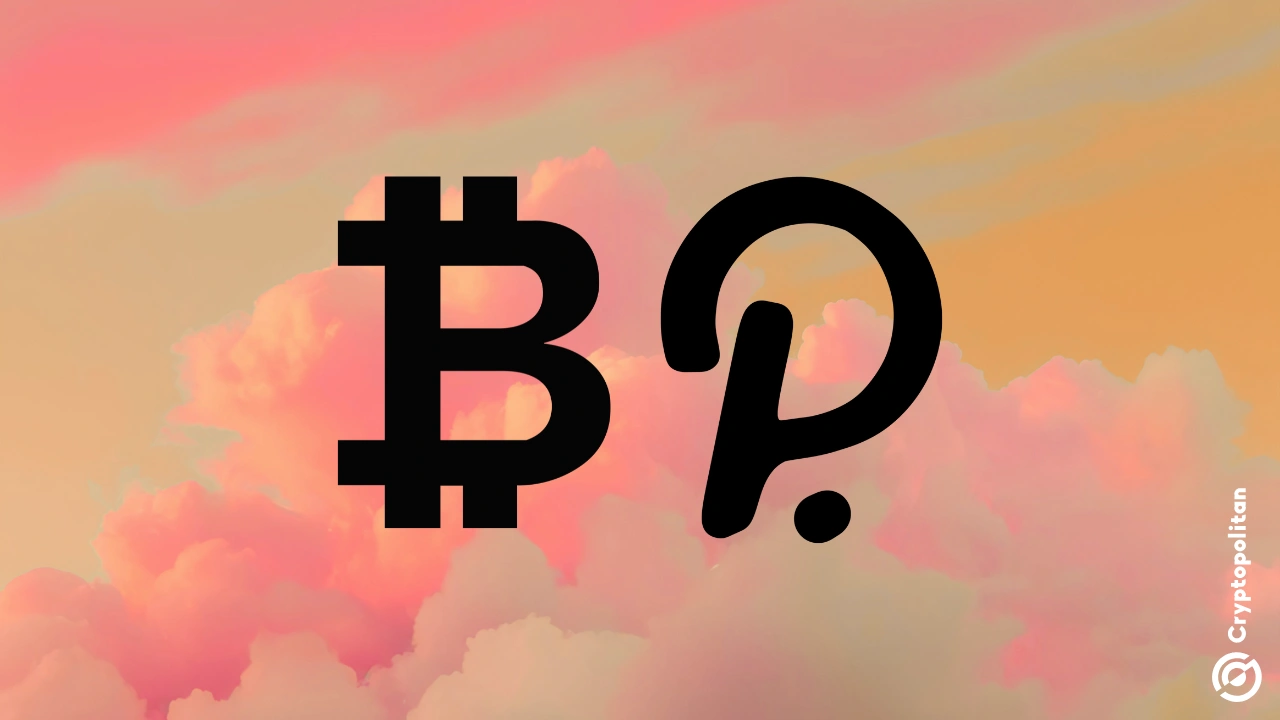 Polkadot 社区成员将比特币作为财政稳定策略