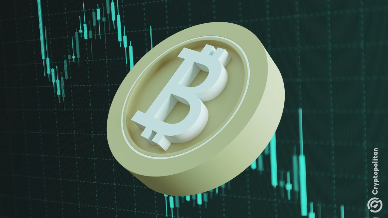 另一名 Hyperliquid 鲸鱼转为做空 BTC