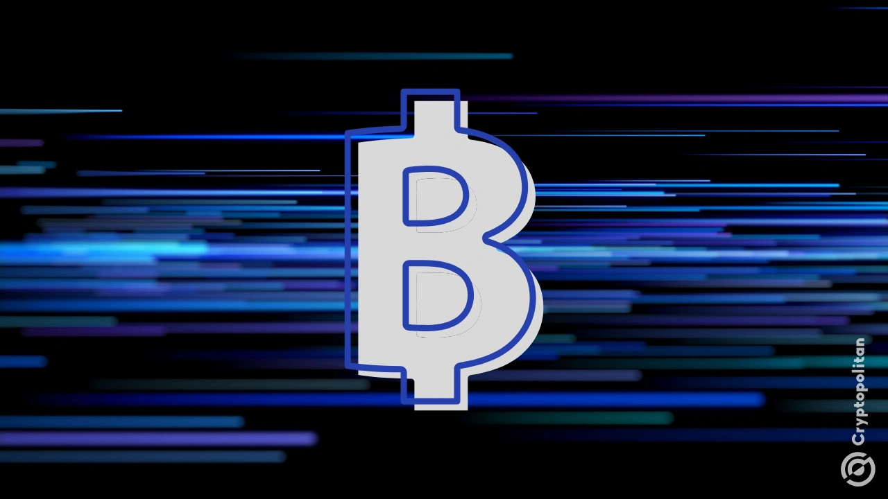 2025 年，累积钱包将迎来最大的 BTC 流入