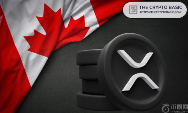 3iQ 首席执行官表示，没有散户投资者能够以目前的价格购买 XRP