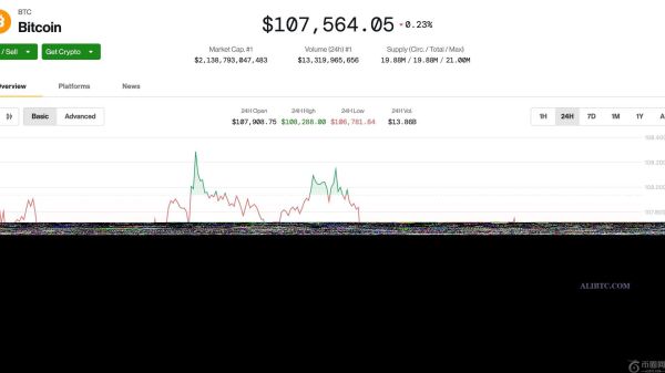 比特币价格在周五大型期权到期前维持在10.7万美元以上，最高价格为10.2万美元