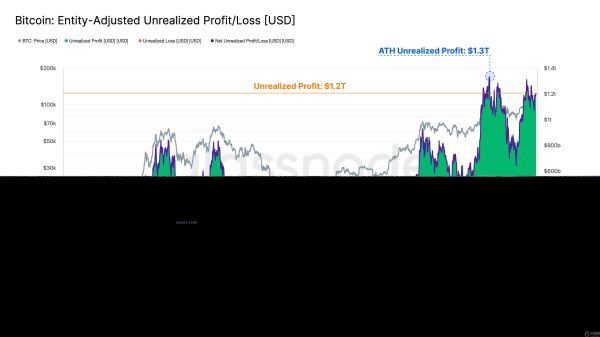 比特币1.2万亿美元未实现利润池不断扩大，而持有者却不愿抛售