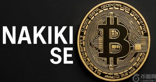 Nakiki SE 将成为首家采用“纯”比特币财务战略的德国上市公司