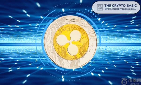 这是神秘的 XRP 账本联合创始人，持有 XRP 总量的 2%