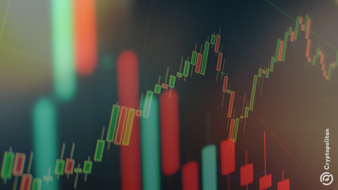 凯西·伍德的方舟基金计划通过“饮食ETF”重返股市