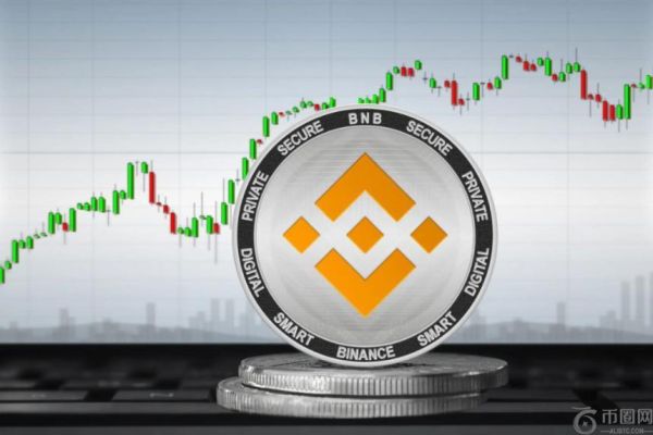 到2030年：你的1000美元BNB投资可能激增至多少？