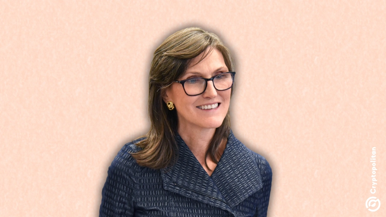 Cathie Wood 支持以太坊在隐私和规模方面的重大押注