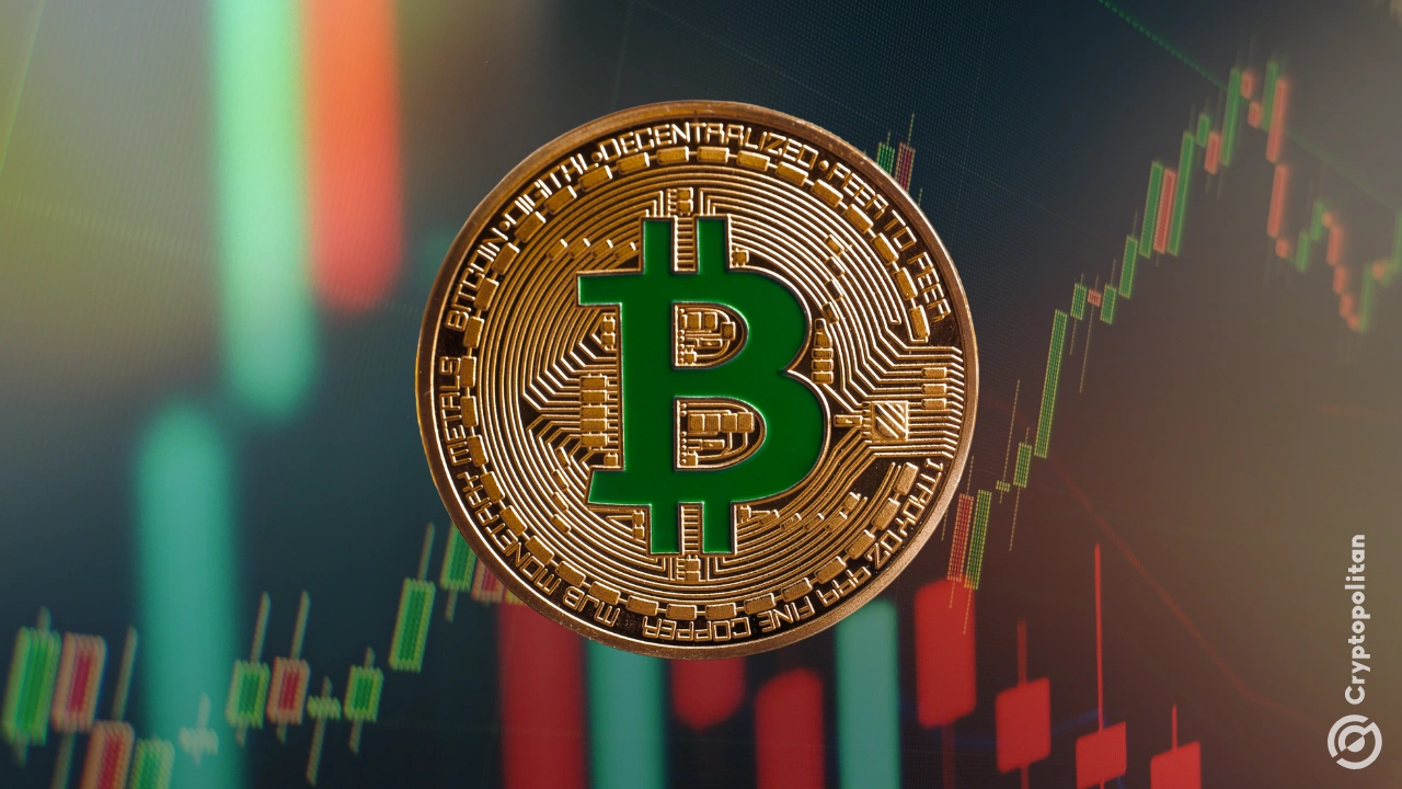 比特币突破 12.3 万美元，创历史新高