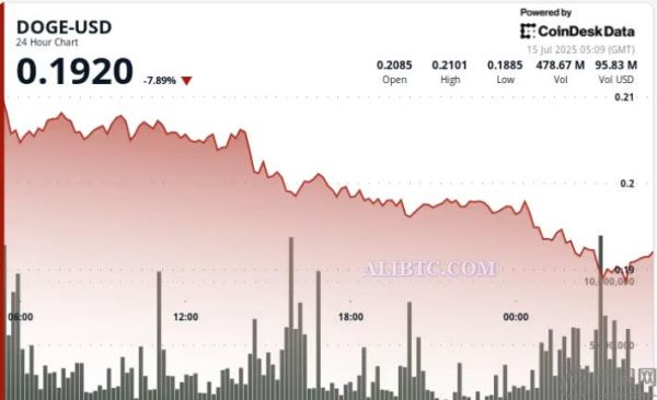 狗狗币DOGE暴跌10%，随后因机构交易量激增而迅速回升