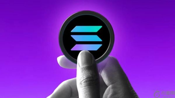 深度解析：SOL代币分布与持有者构成