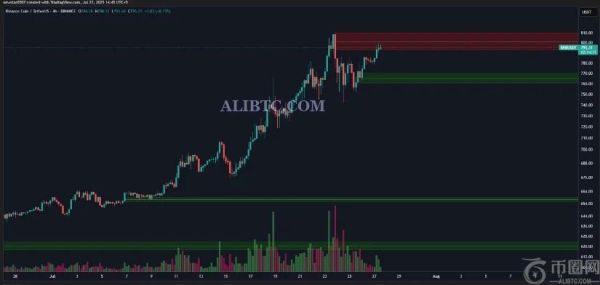 币安币价格有望继续看涨，突破 800 美元大关