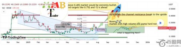 分析师预测狗狗币可能涨至1美元：关键支撑位与看涨信号成焦点
