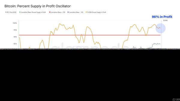 短期持有者推动比特币价格下跌，但市场仍然盈利