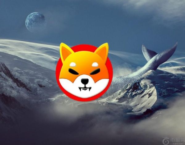 柴犬币鲸鱼投资者3800美元起家，成功套现605万美元