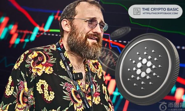 Cardano 创始人表示午夜的成功证明他不会对 Cardano 的增长造成负担