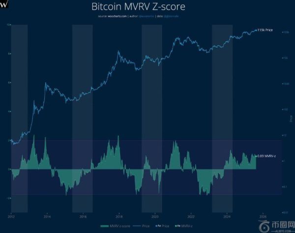 比特币分析师Willy Woo出售持仓，警告2013年式看跌背离再现