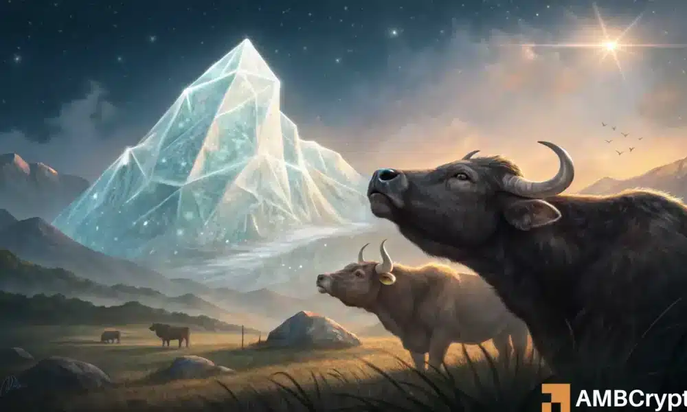 Raydium – RAY 多头可能很快突破 4 美元大关