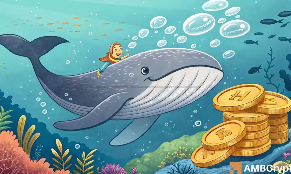 Hyperliquid – 分析 390 万美元鲸鱼买入对 HYPE 价格的影响
