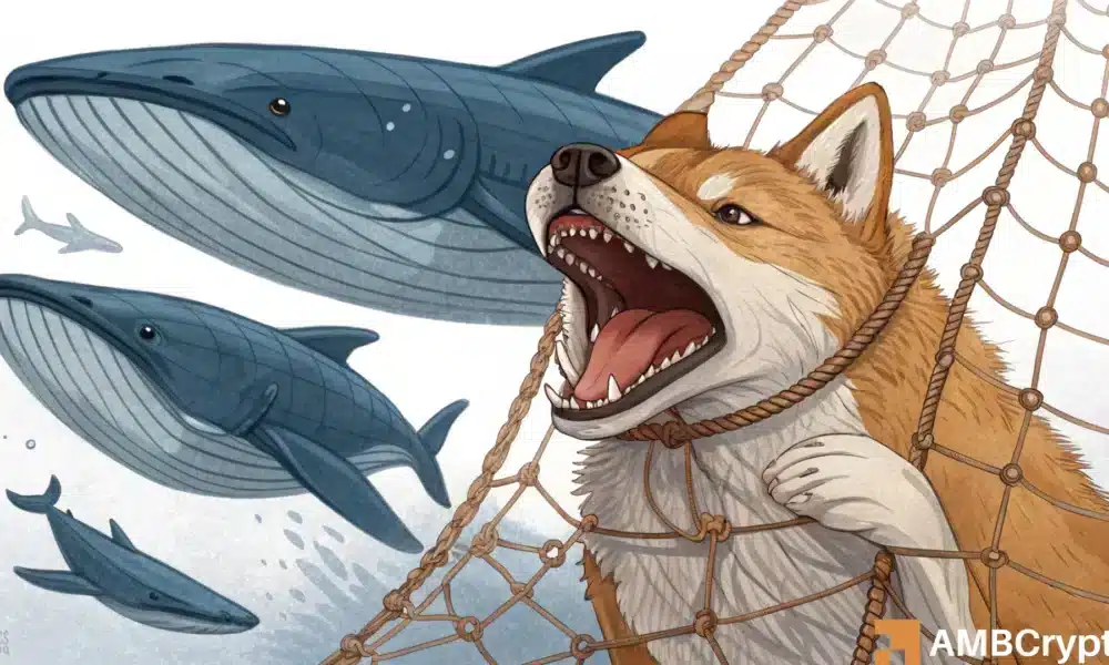 柴鲸悄然囤积——SHIB 准备好在 9 月爆发突破性上涨了吗？