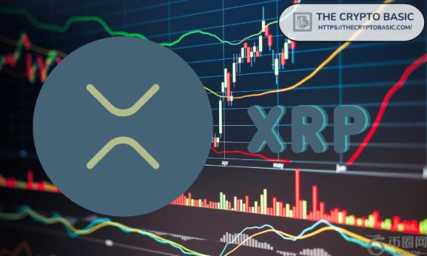100 美元的 XRP 可能会改变你的人生：专家透露你需要多少 XRP 才能成为百万富翁