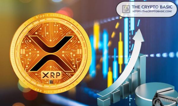 美国说唱歌手告诉人们现在购买加密货币还不算太晚，人群高呼 XRP