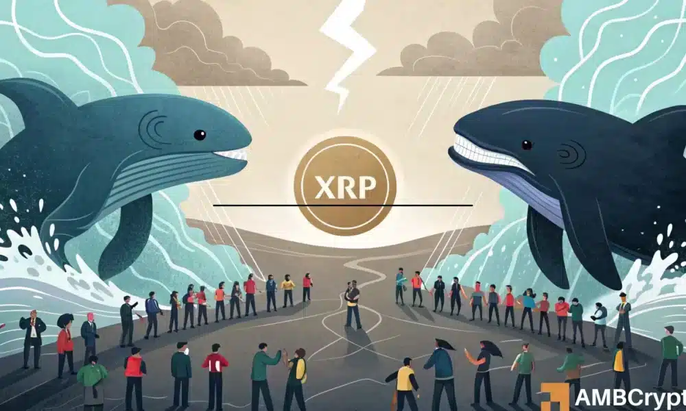 XRP 鲸鱼抛售 4000 万枚代币 – 散户能否挽救价格？