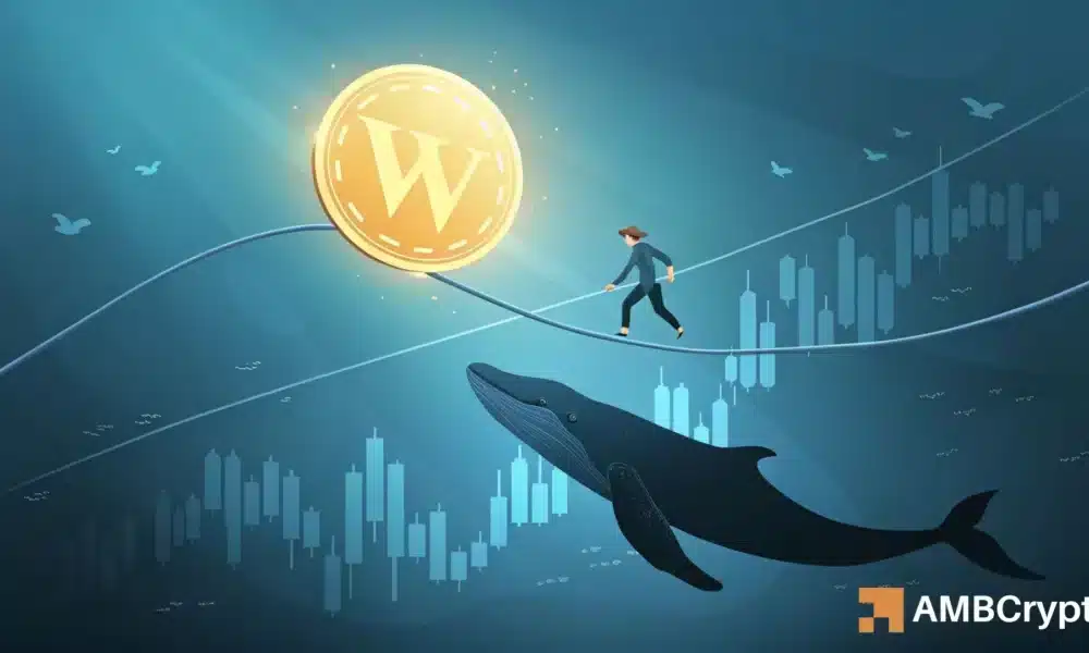 dogwifhat [WIF] 鲸鱼创下 0.76 美元的低点 – 但这个指标显示出风险！