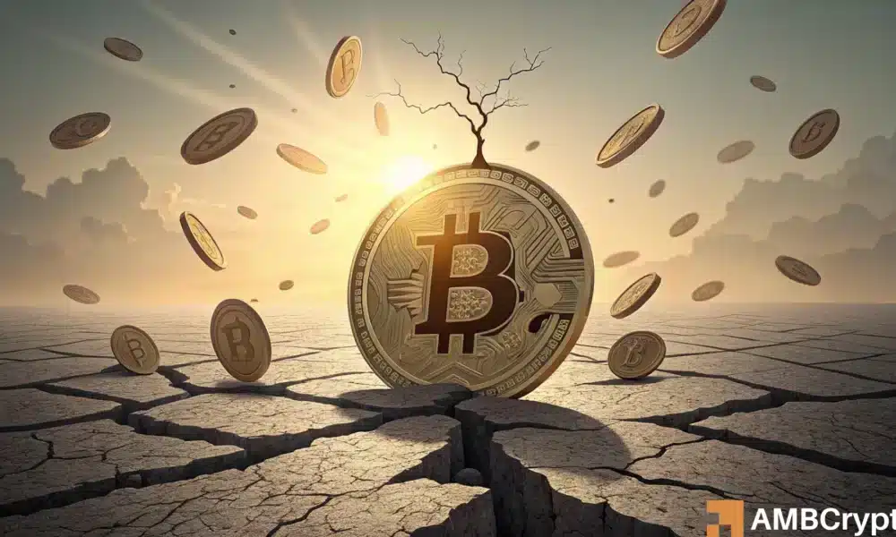 比特币闪崩，跌至 11 万美元，散户纷纷撤离：谁还在持有？