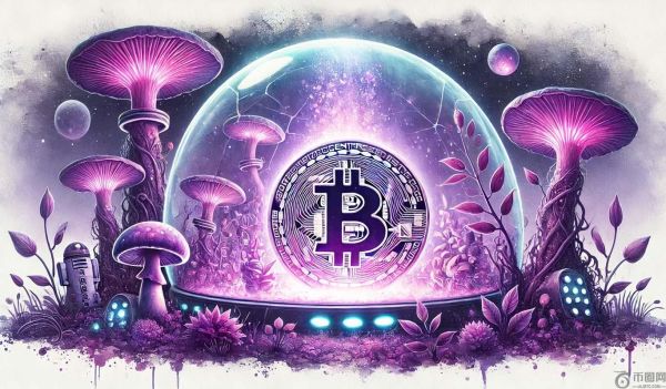 Willy Woo 表示“相对安全”的交易将比比特币 (BTC) 表现好 2-3 倍