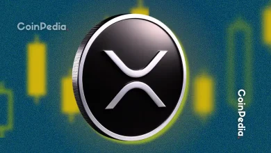 顶级瑞波币策略师与 XRP 持有者分享疯狂新闻，请密切关注这一水平