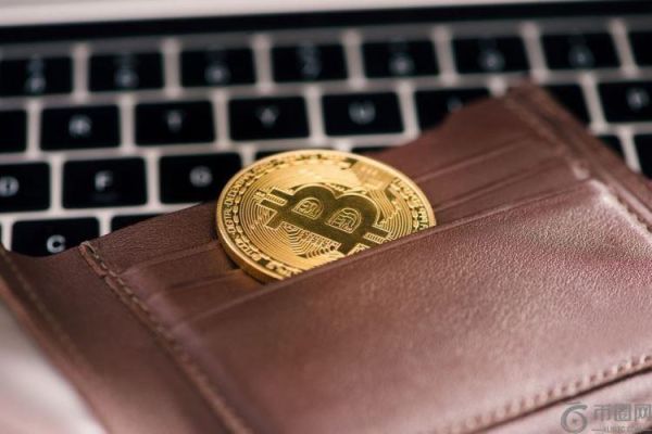 冷钱包能存所有的币种吗？丢了坏了怎么办？12位助记词可以自定义吗？